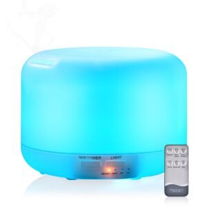 air humidifier