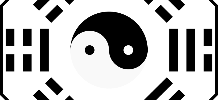 bagua