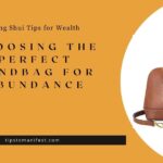 handbag for abundance