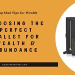 wallet for wealth and abundance